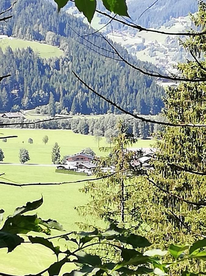 Haus Seppi Hotell Neukirchen am Großvenediger Exteriör bild