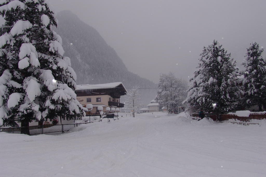Haus Seppi Hotell Neukirchen am Großvenediger Exteriör bild